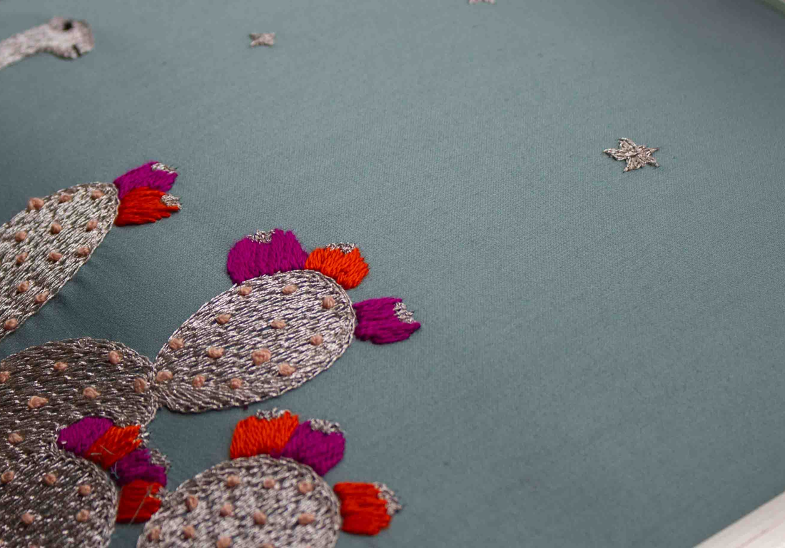 The Cactus Collection - 1