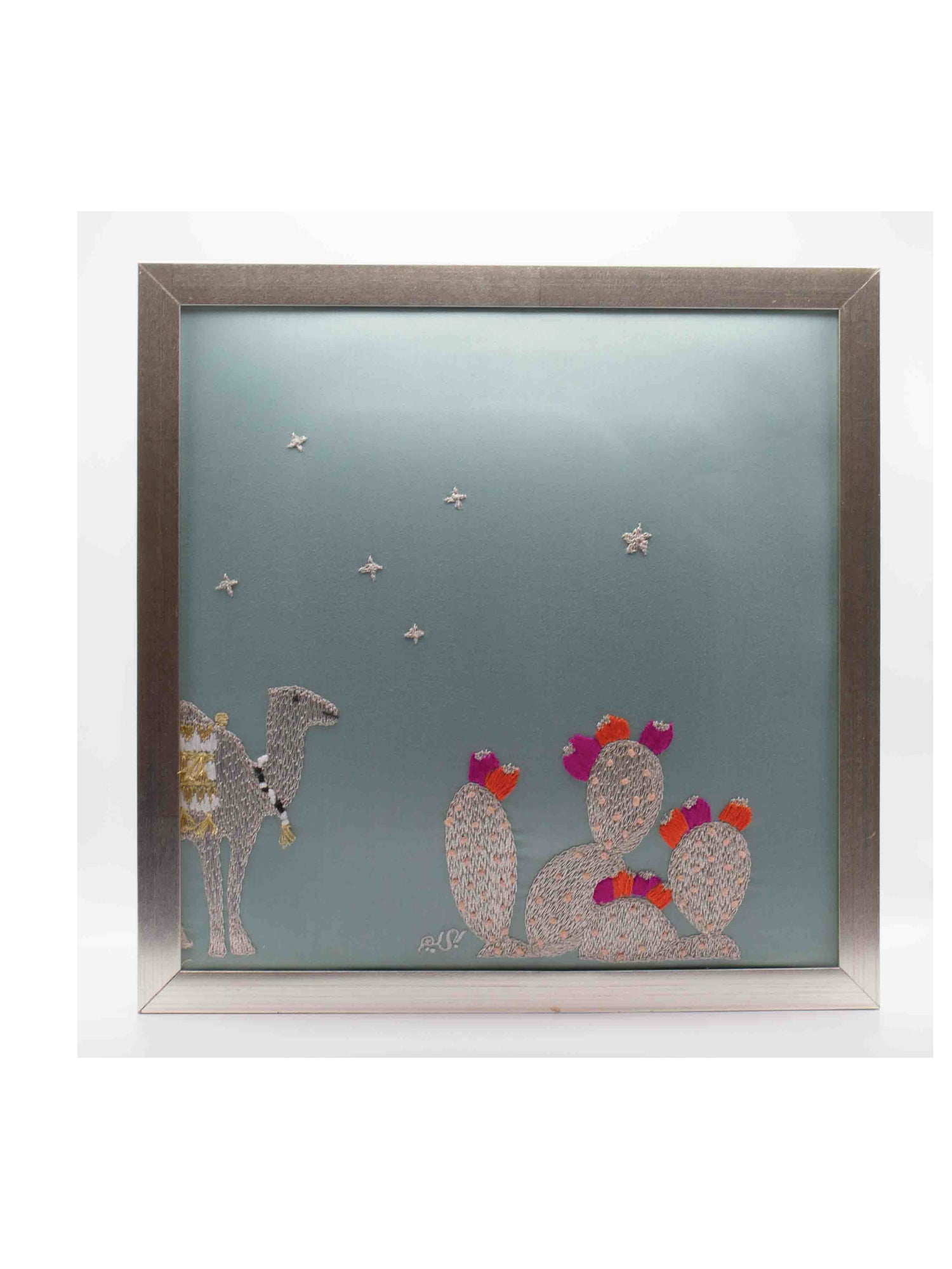 The Cactus Collection - 1