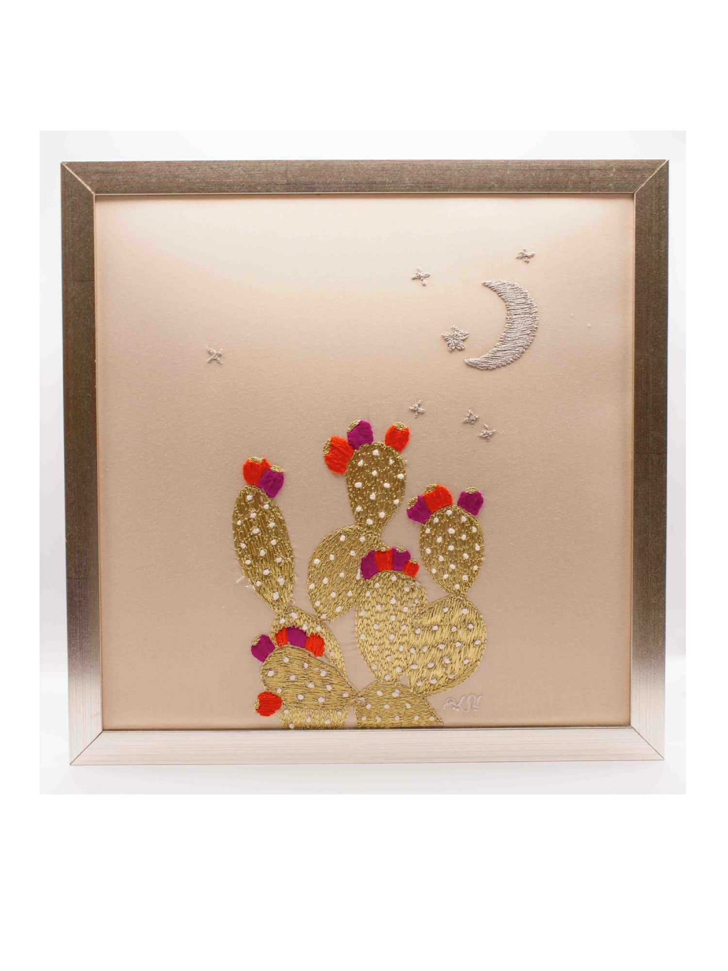 The Cactus Collection - 2