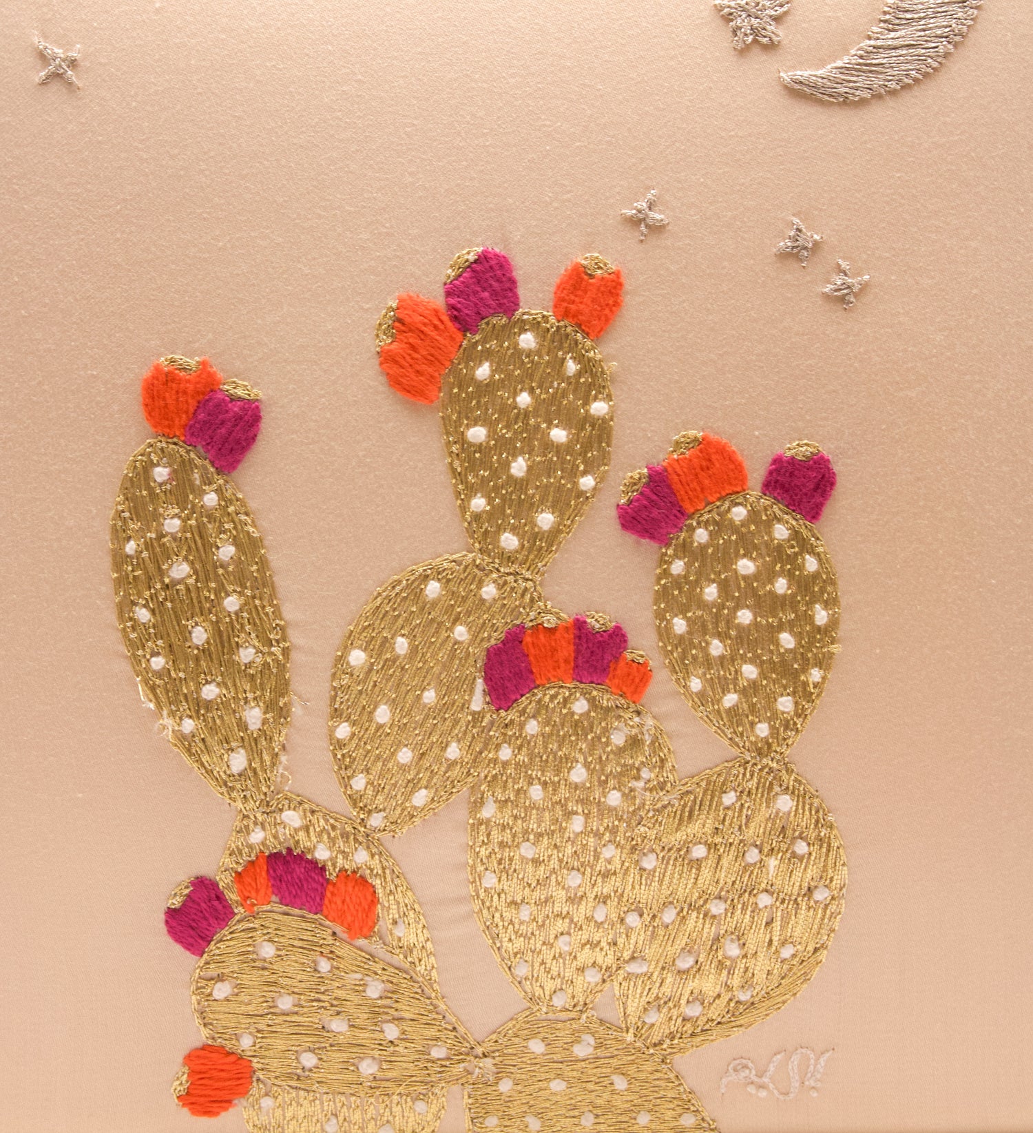 The Cactus Collection - 2